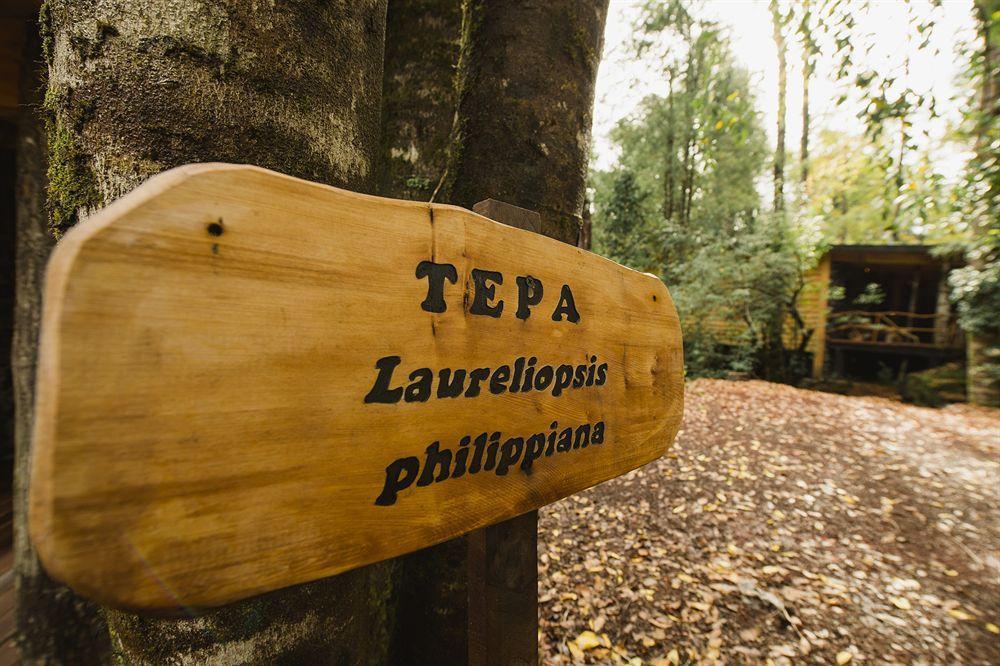 Huilo Huilo Nawelpi Lodge Puerto Fuy Exterior foto